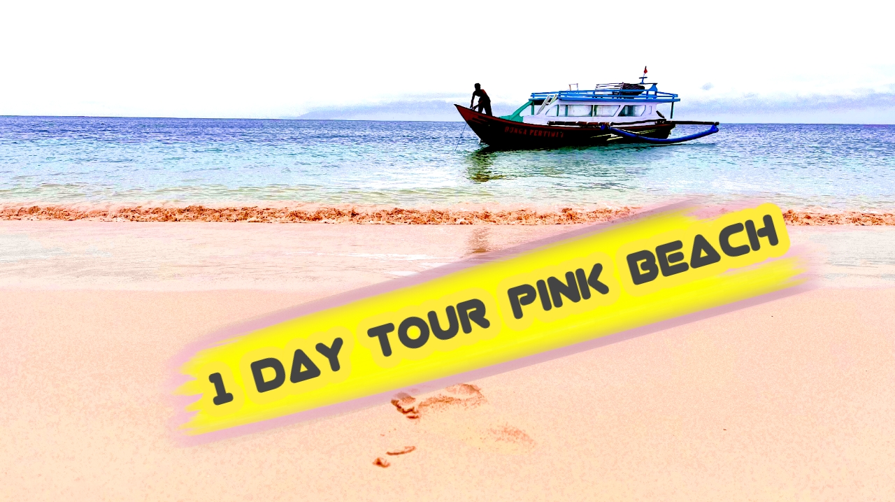 TOUR LOMBOK PINK BEACH 1 DAY 