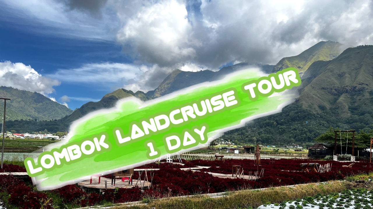 Wisata Lombok Lancruise 1 Hari