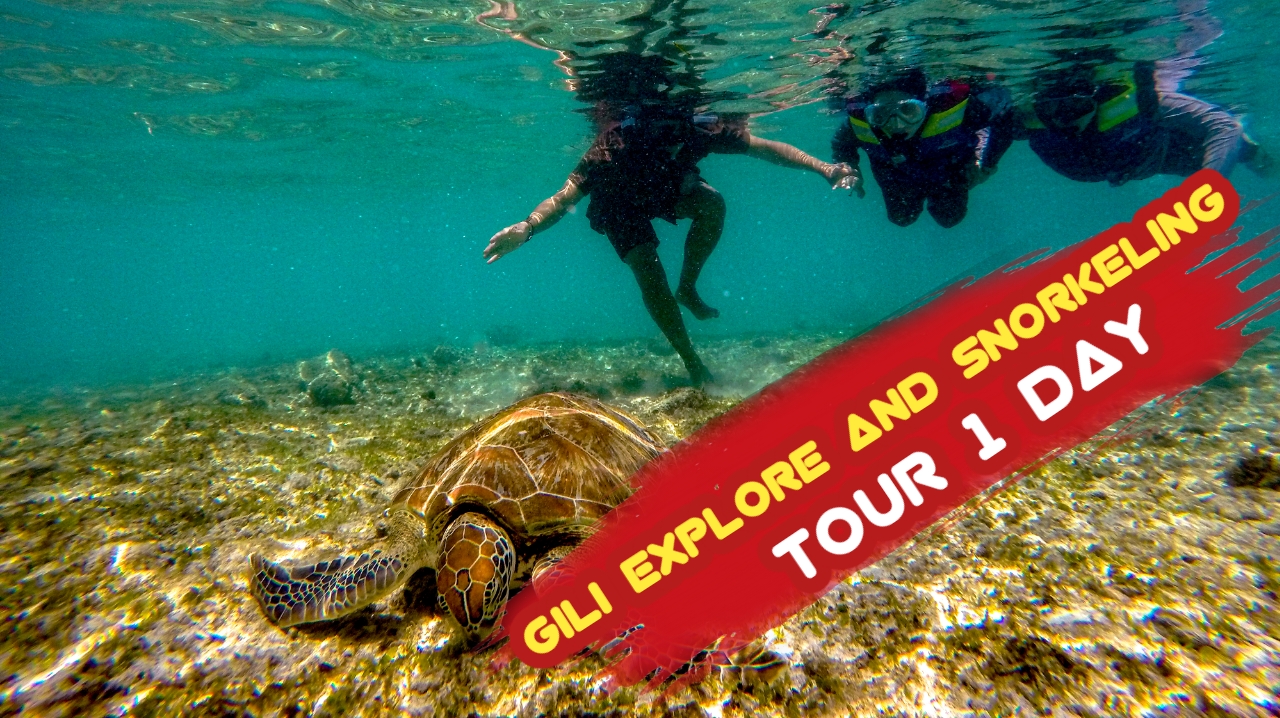 PAKET LOMBOK GILI EXPLORE  1 HARI 