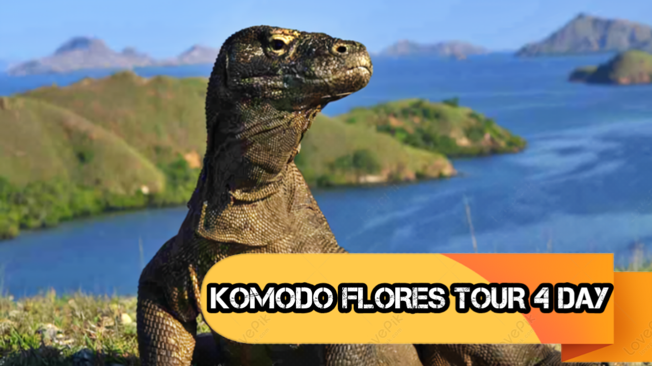 Komodo Flores Tour 4 Day